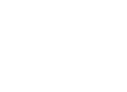 Dolphins-copy Teams